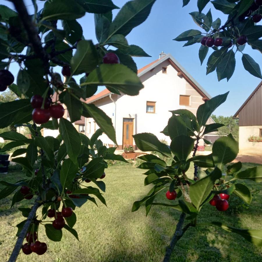 Kuca Za Odmor Boki Villa Gospić Buitenkant foto