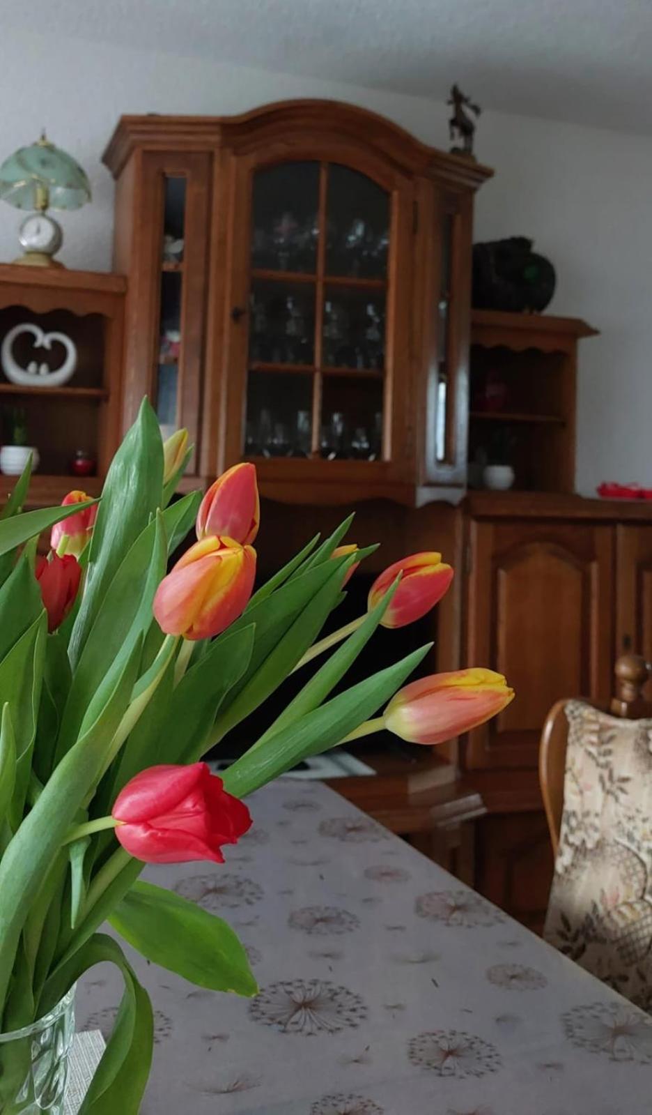 Kuca Za Odmor Boki Villa Gospić Buitenkant foto